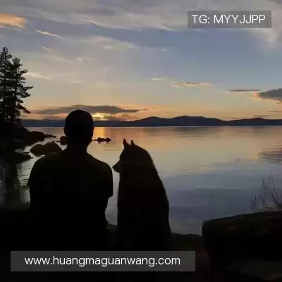 俞向岗